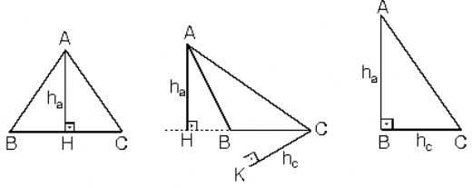 Matematik genler